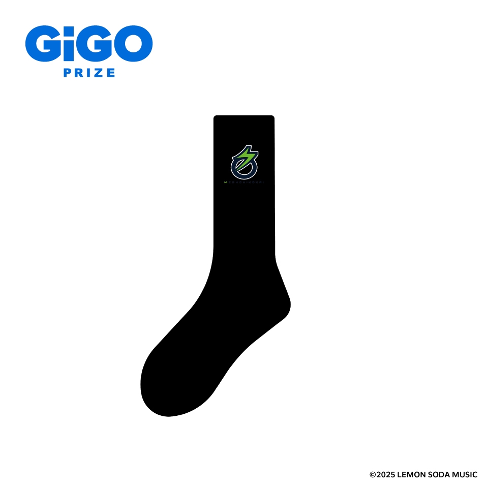 名称非公開 【急募】迷子の靴下【もう片方】～GiGO限定～の画像1