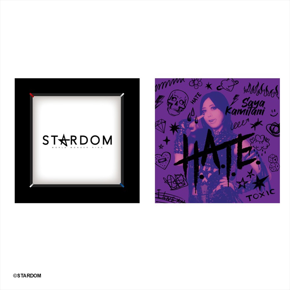 STARDOM クッション ～GiGOグループのお店限定～の画像1