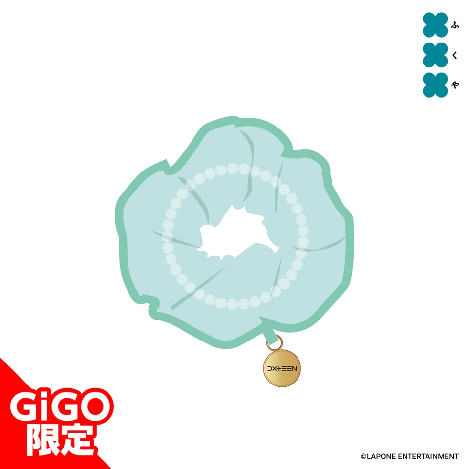 DXTEEN シュシュ～GiGOグループのお店限定～の画像1