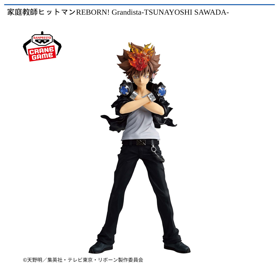 家庭教師ヒットマンREBORN! Grandista-TSUNAYOSHI SAWADA-の画像1